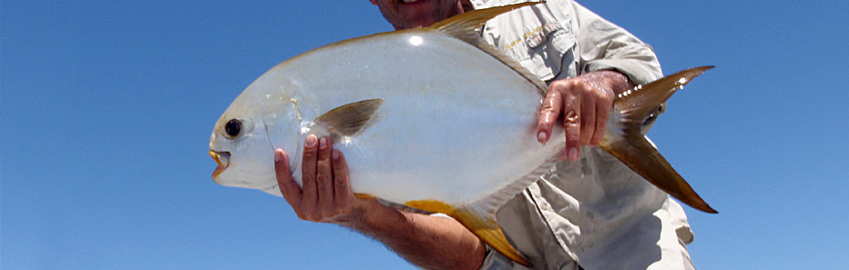 Pompano Fishing -  Australia